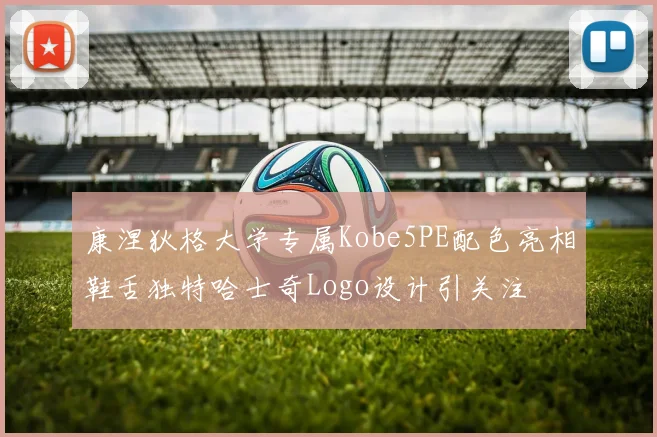 康涅狄格大学专属Kobe5PE配色亮相鞋舌独特哈士奇Logo设计引关注
