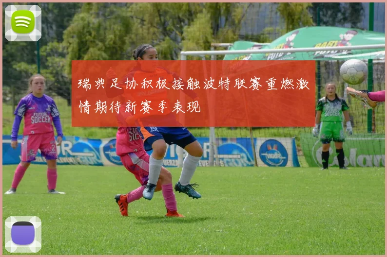 瑞典足协积极接触波特联赛重燃激情期待新赛季表现